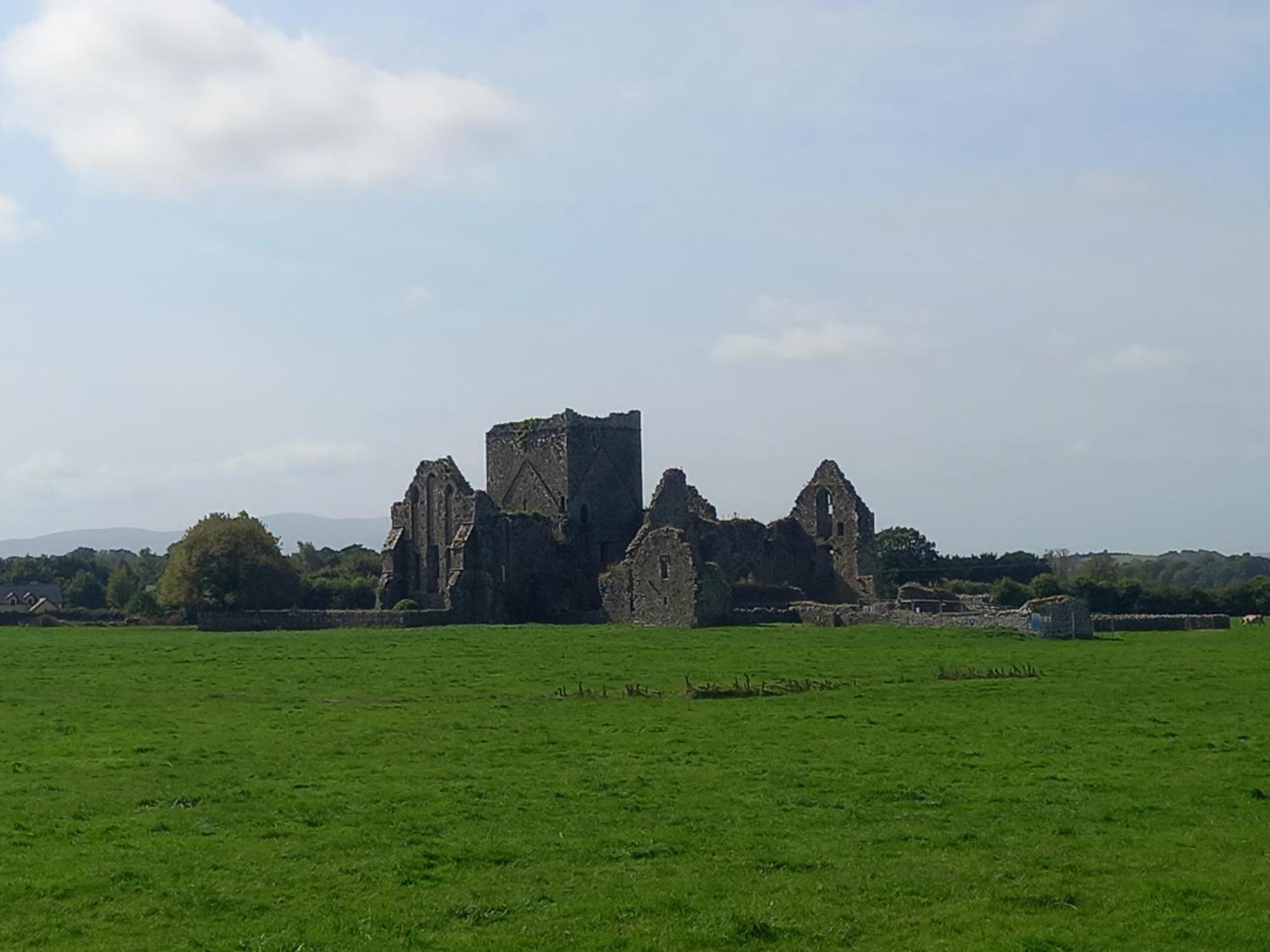 Kitty'S Cottage - Horse And Jockey, Cashel Thurles Exterior foto
